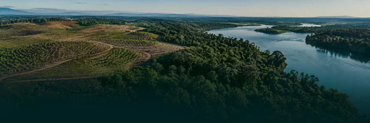 Vista aérea de área em recuperação ambiental ao lado de mata nativa e rio